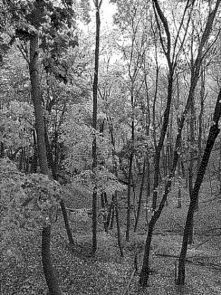 William Betts, Chorley Park, Toronto, 2012
Acrylic paint on reverse drilled mirror acrylic, 48 x 36 in. (121.9 x 91.4 cm)
WBE-136