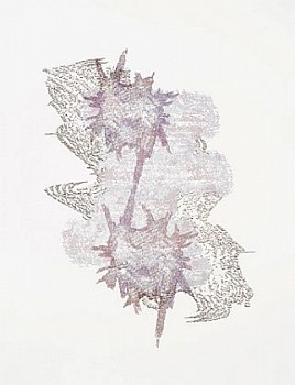 Work:&nbsp;...Summer without fall ...aped and went ...concrete and symbolic...