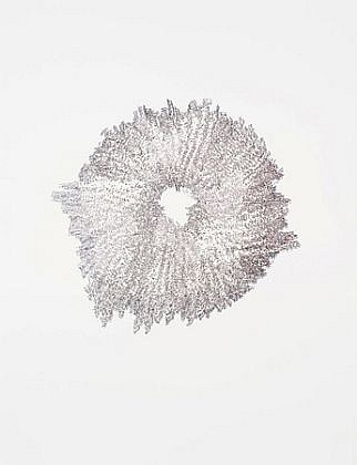 Todd Camplin, ...Perfectly monstrous..., 2010
Ink on paper, 50 x 38 in. (127 x 96.5 cm)
TCA-009