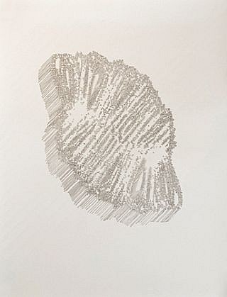 Todd Camplin, ...Wishing..., 2010
Ink on paper, 50 x 38 in. (127 x 96.5 cm)
TCA-011