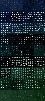 Work: Seed Viability X-Rays