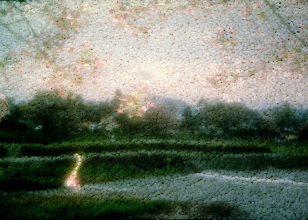 Dornith Doherty, Along the Kamo-gawa, 2003
Chromogenic color photograph, Edition of 9, 44 x 61 in. (111.8 x 154.9 cm)
DDO-014