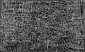 Dorothy Napangardi -&nbsp;Mina Mina