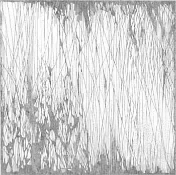 Work: Leaves (from the Linear Landscape Series)