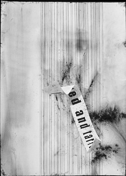 Randy Twaddle -&nbsp;Feathered and Tarred