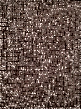 Dorothy Napangardi -&nbsp;Karntakurlangu Jukirrpa 1 (Women's Dreaming 1)