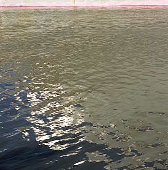 Casey Williams - Untitled (1044.30)