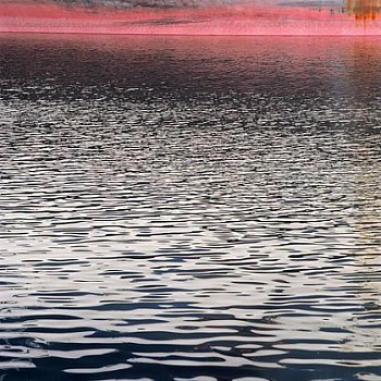 Casey Williams - Untitled (1177.10)