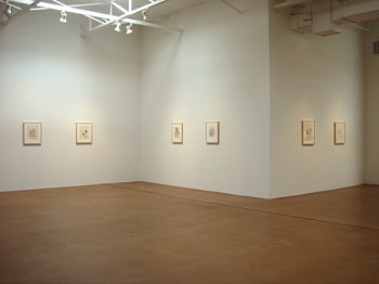 Gael Stack: Forty One Songs 