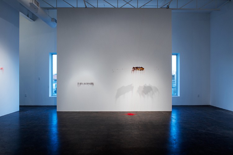 Rebecca Carter: A Thread House Has Whiskers - Installation View