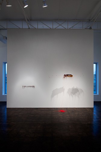 Rebecca Carter: A Thread House Has Whiskers - Installation View