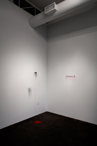 Rebecca Carter: A Thread House Has Whiskers - Installation View