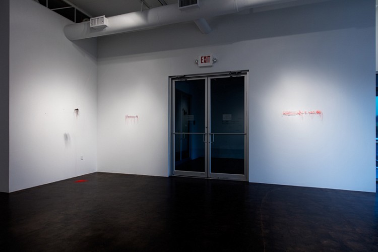 Rebecca Carter: A Thread House Has Whiskers - Installation View