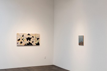 Matthew Cusick: Rendition 