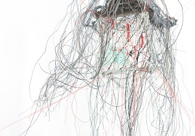 Rebecca Carter News: PRESS RELEASE: Rebecca Carter - A Thread House Has Whiskers, October 17, 2015 - Holly Johnson Gallery