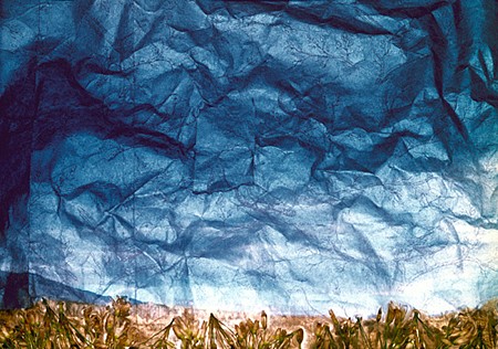 News: REVIEW: Dornith Doherty in Dallas Morning News, December 20, 2007 - Charissa N. Terranova