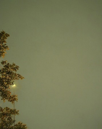 News: ESSAY: Janaki Lennie in Perspectives 152 at CAMH, June 23, 2006 - Contemporary Arts Museum Houston