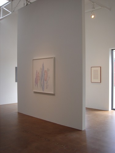 On Drawing: Line - Installation View