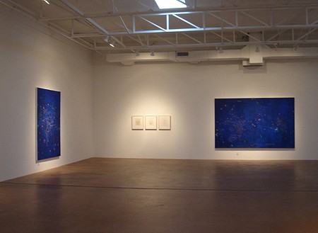 Gael Stack: Thistle - Installation View