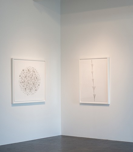 Dornith Doherty: Exchange - Installation View