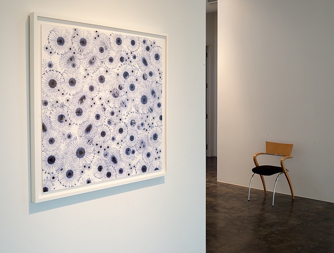 Dornith Doherty: Exchange - Installation View