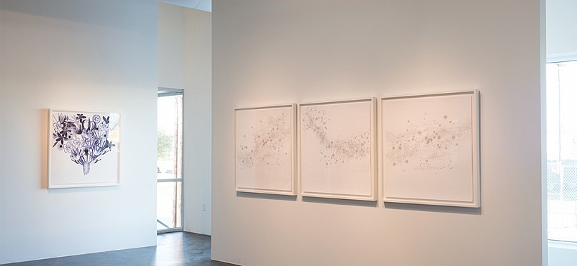 Dornith Doherty: Exchange - Installation View