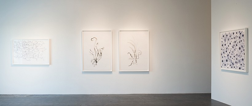 Dornith Doherty: Exchange - Installation View