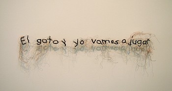 Rebecca Carter: A Thread House Has Whiskers&nbsp;