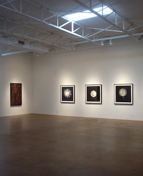 Stockpile: New Photographs by Dornith Doherty&nbsp;