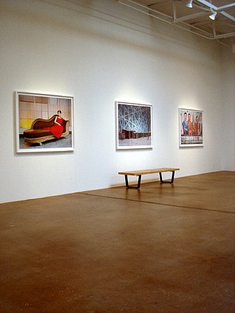 Mike Osborne: Enter the Dragon - Installation View