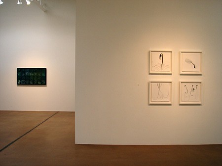 Dornith Doherty: Archiving Eden II - Installation View