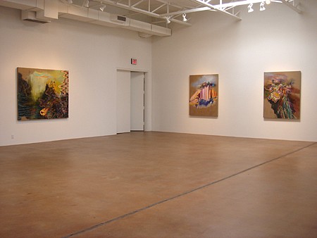 Jackie Tileston: Phenomorama - Installation View