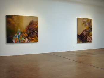 Jackie Tileston: Phenomorama 