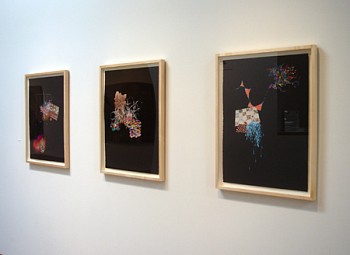 Jackie Tileston: Phenomorama 