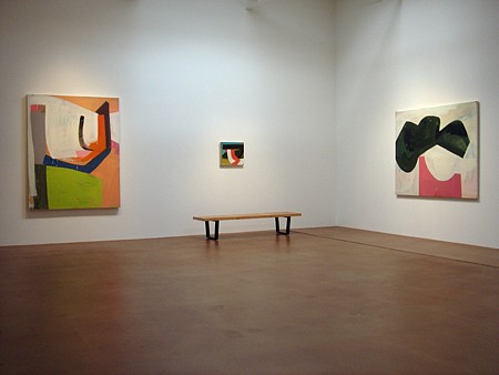 David Aylsworth: Is it the real turtle soup? - Installation View