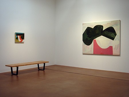 David Aylsworth: Is it the real turtle soup? - Installation View