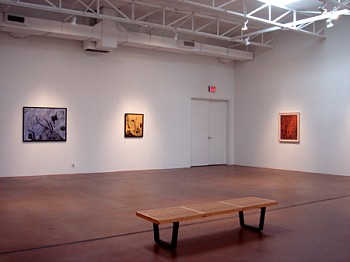 Virgil Grotfeldt: Memories and Transformations 