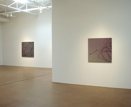 Casey Williams: Within - Installation View