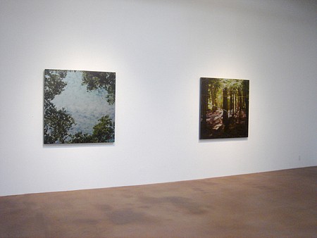 Casey Williams: Within - Installation View