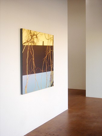 Casey Williams: Within - Installation View