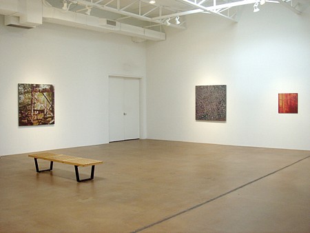 Casey Williams: Within - Installation View