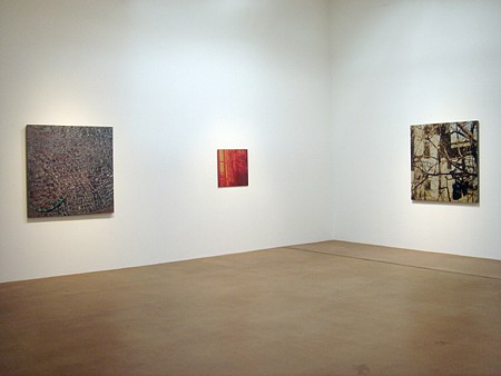Casey Williams: Within - Installation View