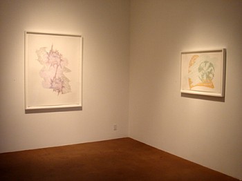 Todd Camplin: Language Reconstruction&nbsp;