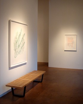 Todd Camplin: Language Reconstruction&nbsp;