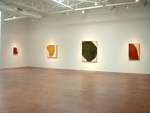 Antonio Murado: Mantos - Installation View