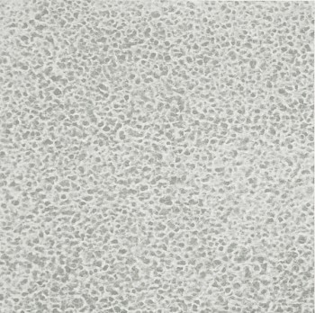 Joan Winter -&nbsp;After the Rain