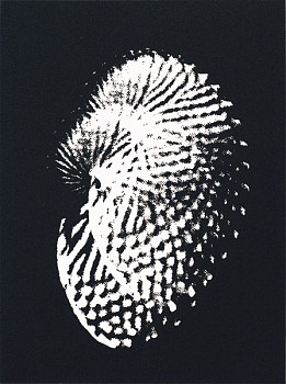 Joan Winter -&nbsp;Japan Series - Argo