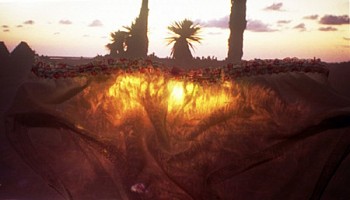 Dornith Doherty - River Delta