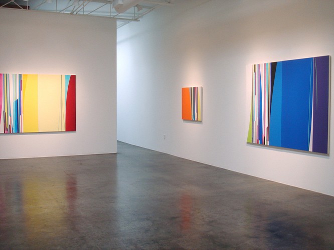 Dion Johnson: Optic Energy - Installation View