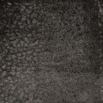 Joan Winter -&nbsp;Forest Floor II